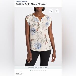 Daniel Rainn Blue and Cream Floral Blouse